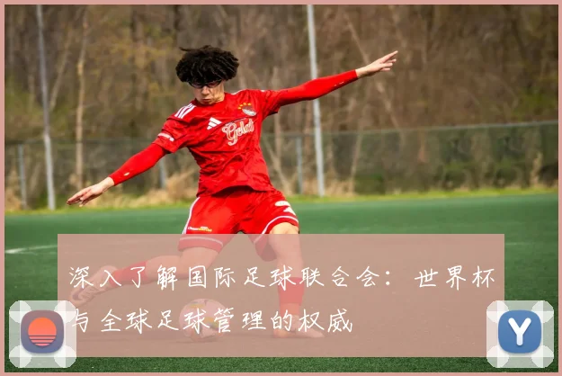 深入了解国际足球联合会：世界杯与全球足球管理的权威