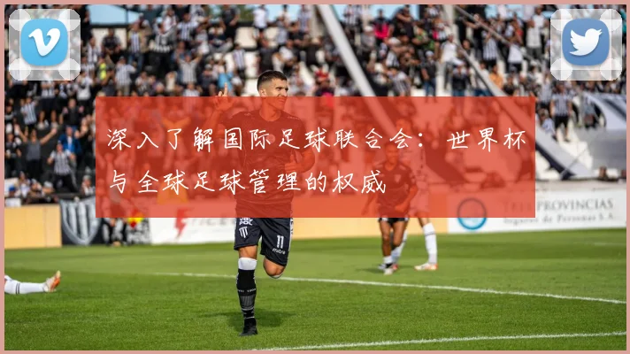 深入了解国际足球联合会：世界杯与全球足球管理的权威